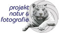 Glanzlichter