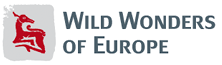 Wild Wonders