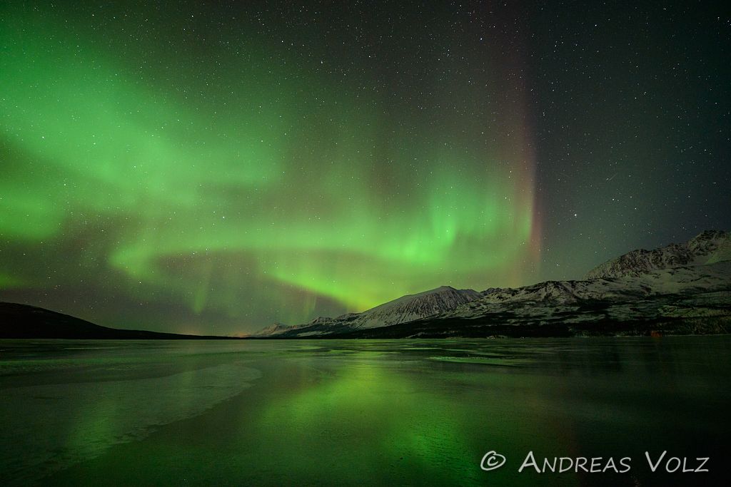 Polarlicht / Aurea borealis