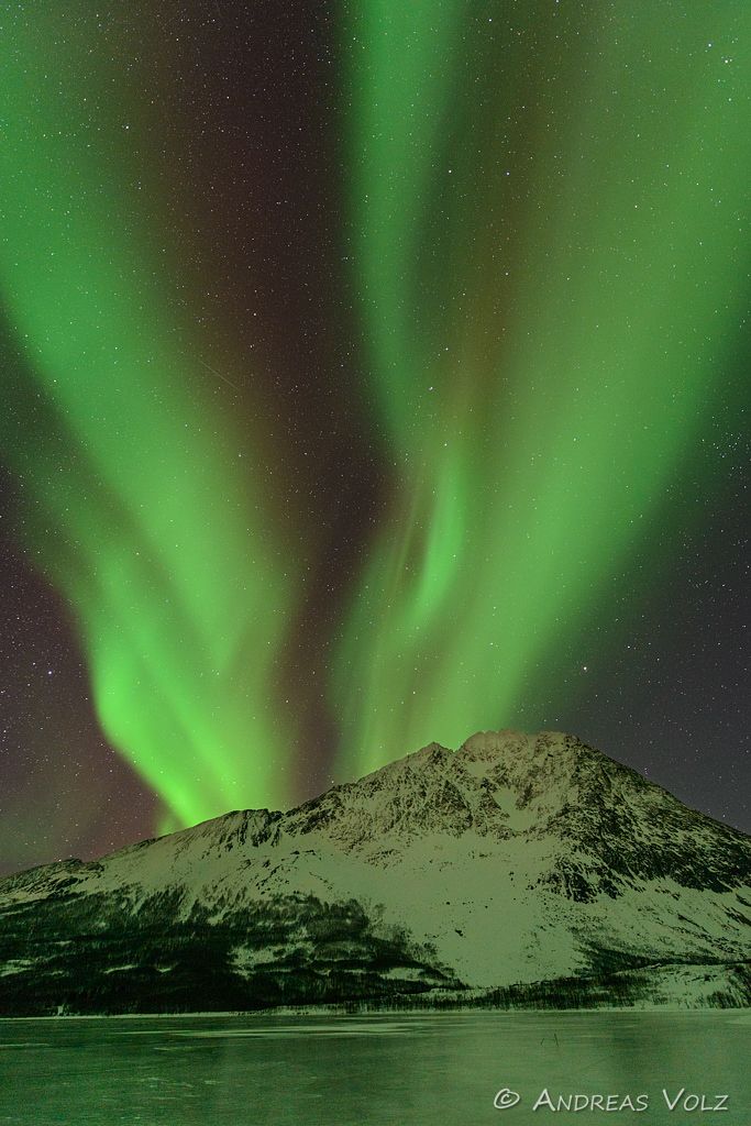 Polarlicht / Aurea borealis