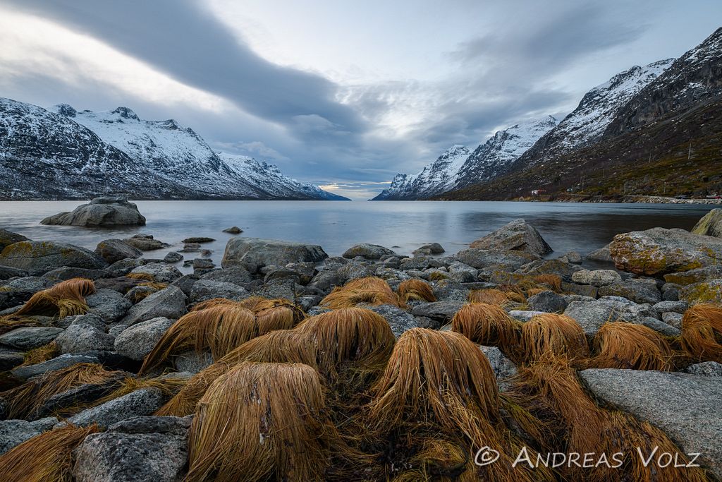 Ersfjord