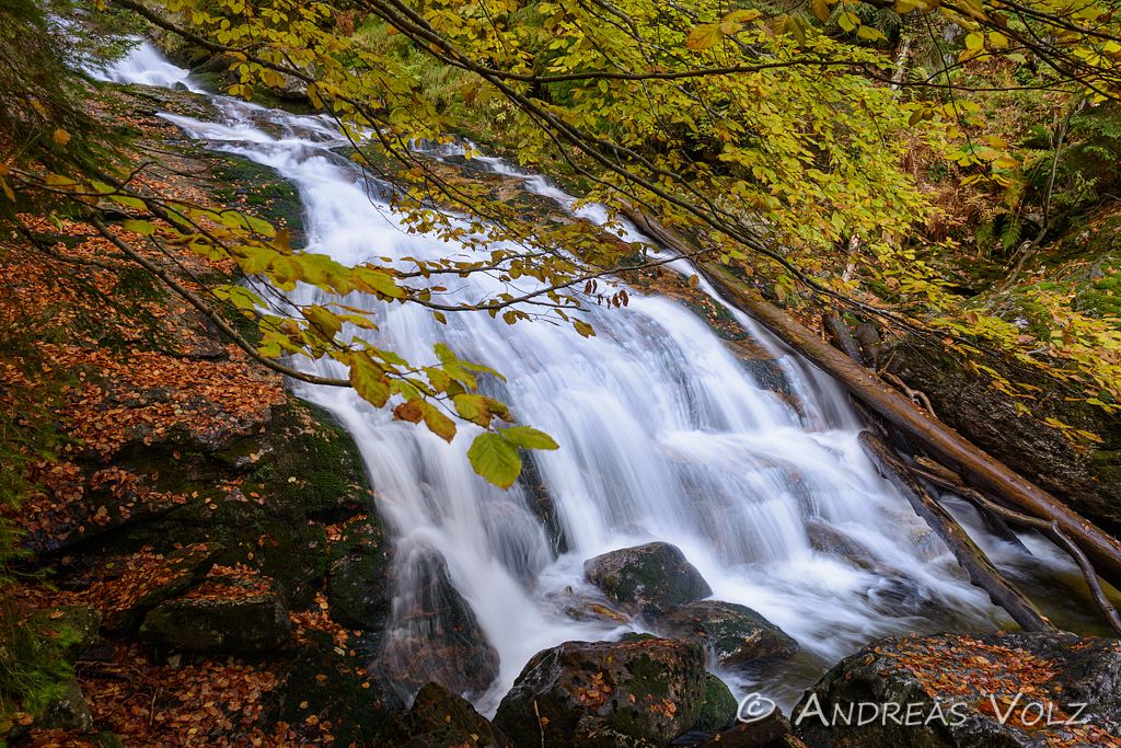 Wasser57.jpg
