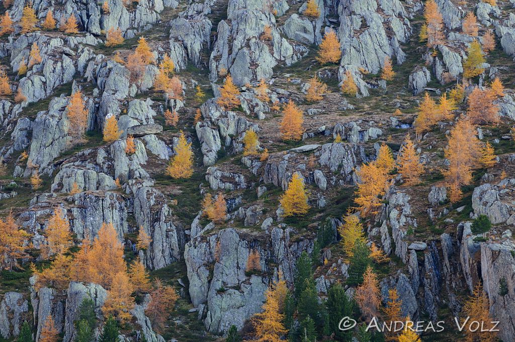 Landschaft416.jpg