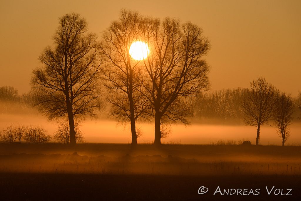 Landschaft1012.jpg