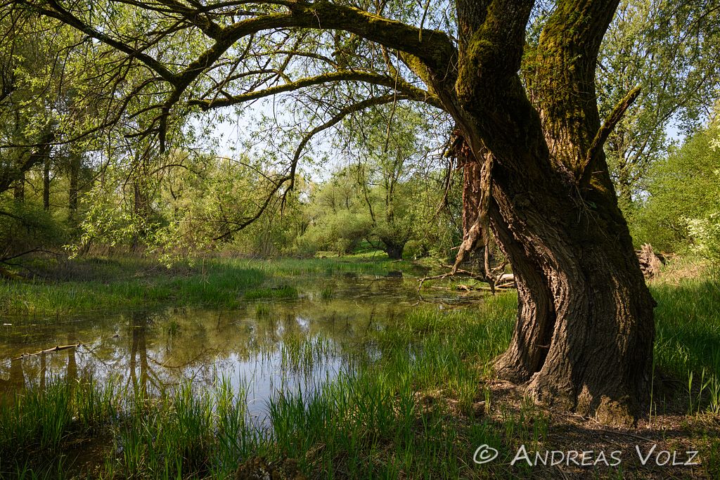 Landschaft1418.jpg
